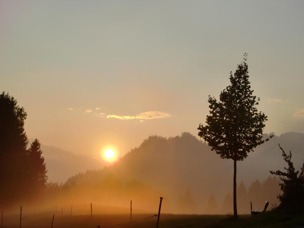 Hauserhof Am Goldberg デラッハ エクステリア 写真